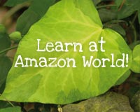 learn at amazon world zoo park